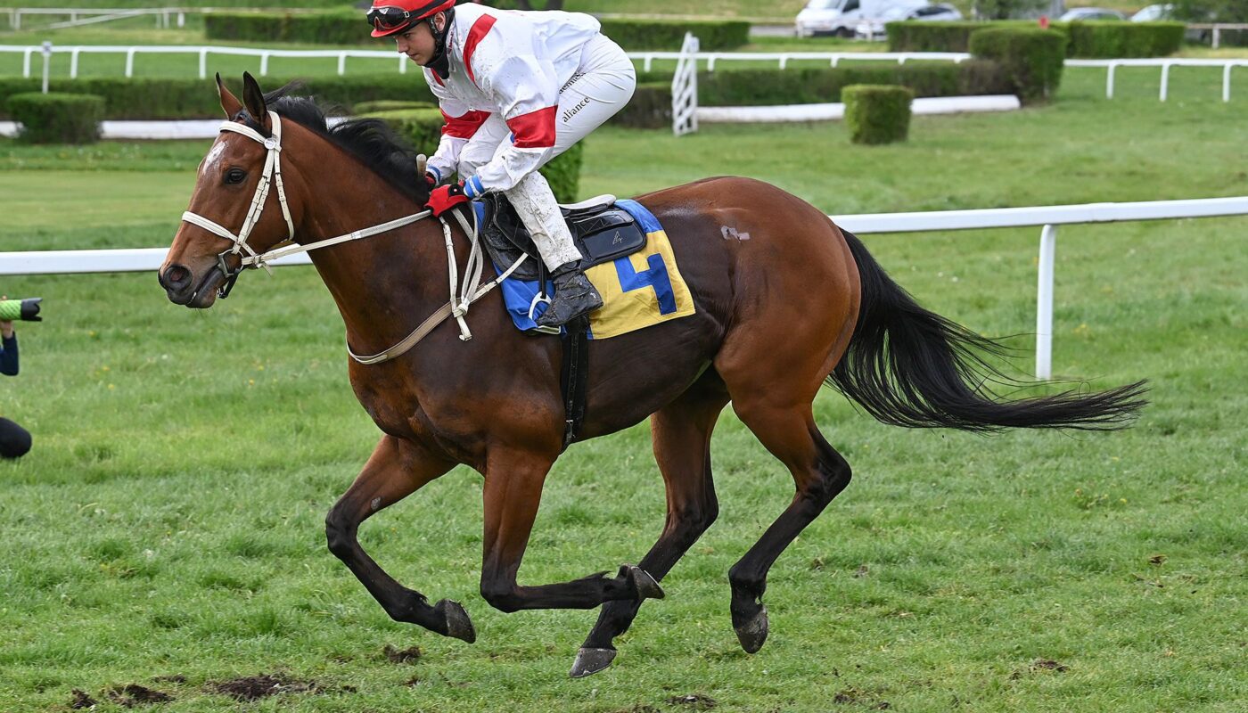 Jezdecké potřeby, potřeby pro koně a jezdectví Piruch.cz