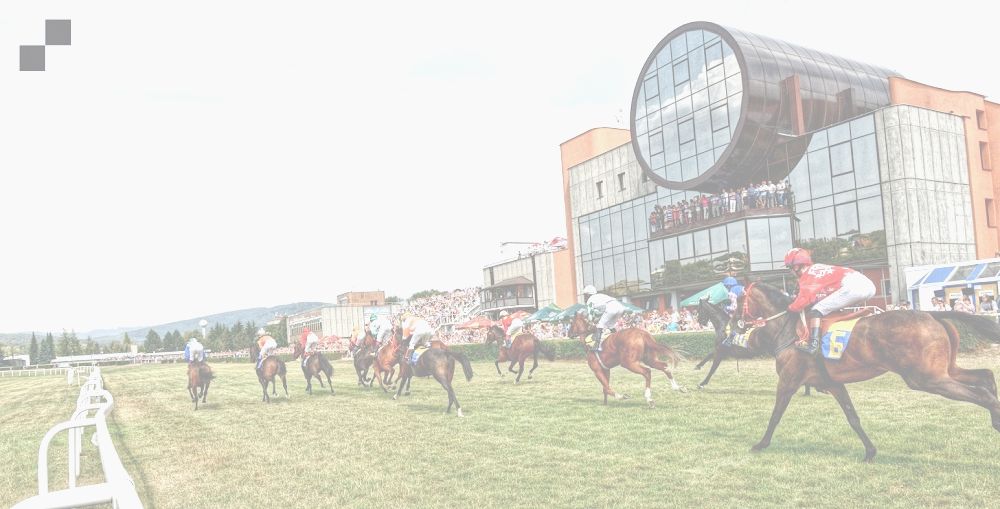 Jezdecké potřeby, potřeby pro koně a jezdectví Piruch.cz