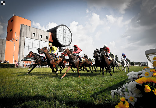 Jezdecké potřeby, potřeby pro koně a jezdectví Piruch.cz