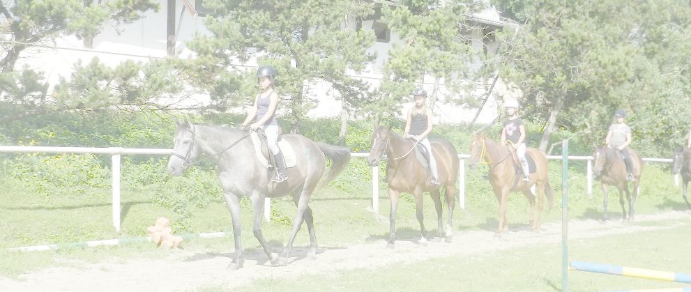 Jezdecké potřeby, potřeby pro koně a jezdectví Piruch.cz