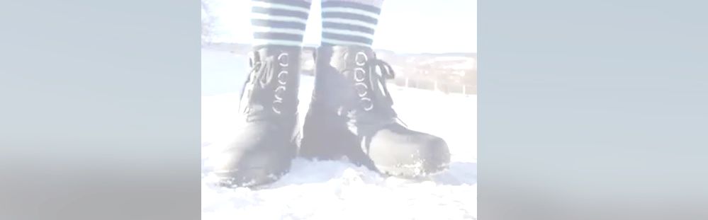 Jezdecké potřeby, potřeby pro koně a jezdectví Piruch.cz