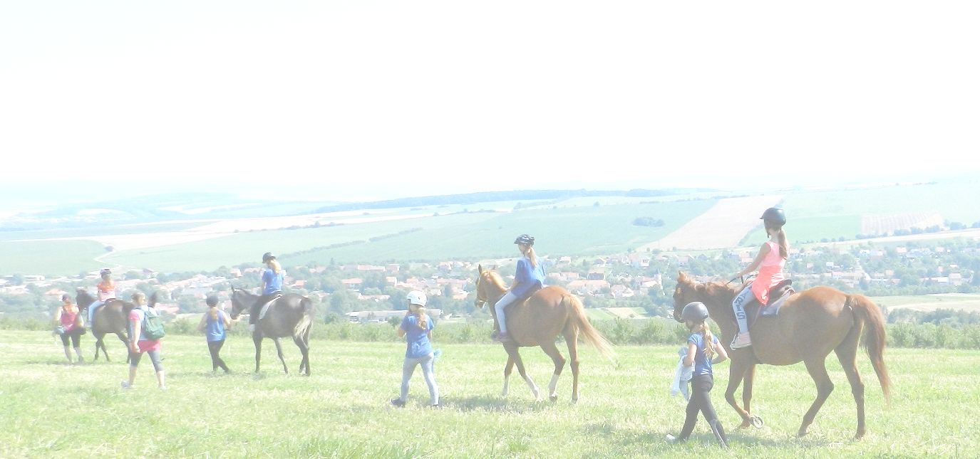 Jezdecké potřeby, potřeby pro koně a jezdectví Piruch.cz