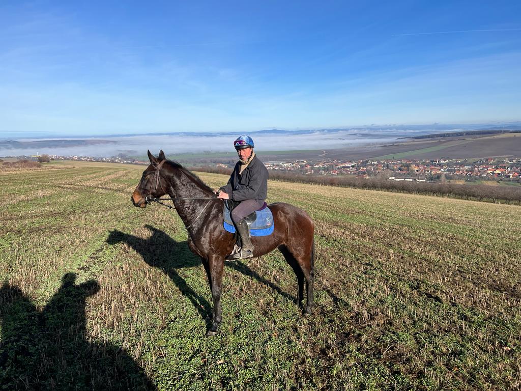 Jezdecké potřeby, potřeby pro koně a jezdectví Piruch.cz