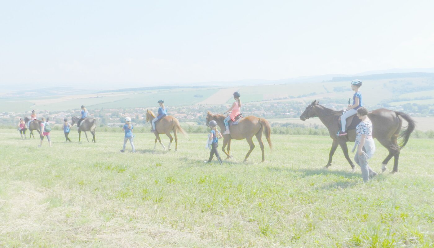Jezdecké potřeby, potřeby pro koně a jezdectví Piruch.cz