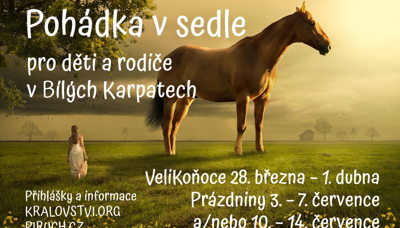 Jezdecké potřeby, potřeby pro koně a jezdectví Piruch.cz