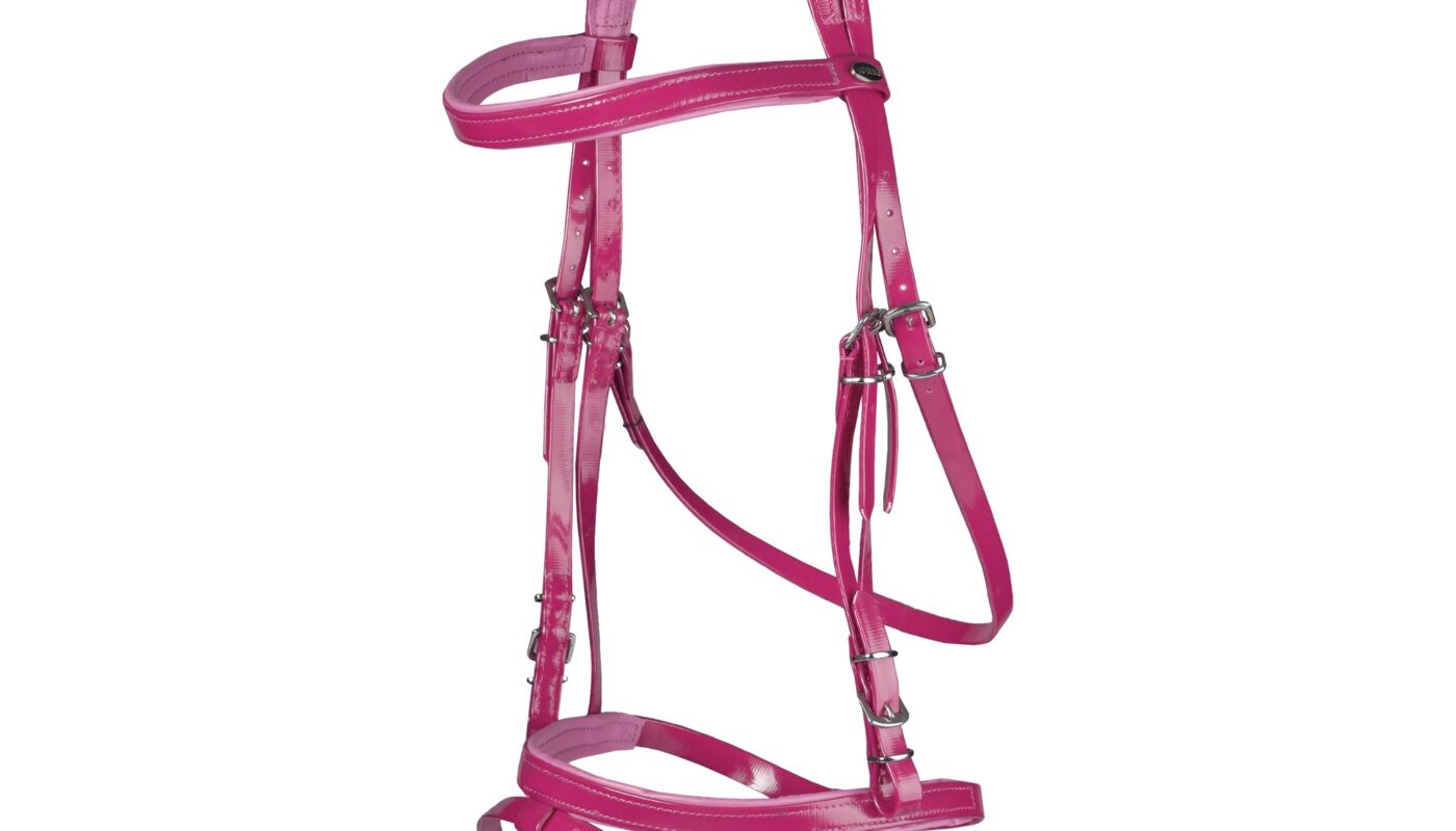 Jezdecké potřeby, potřeby pro koně a jezdectví Piruch.cz