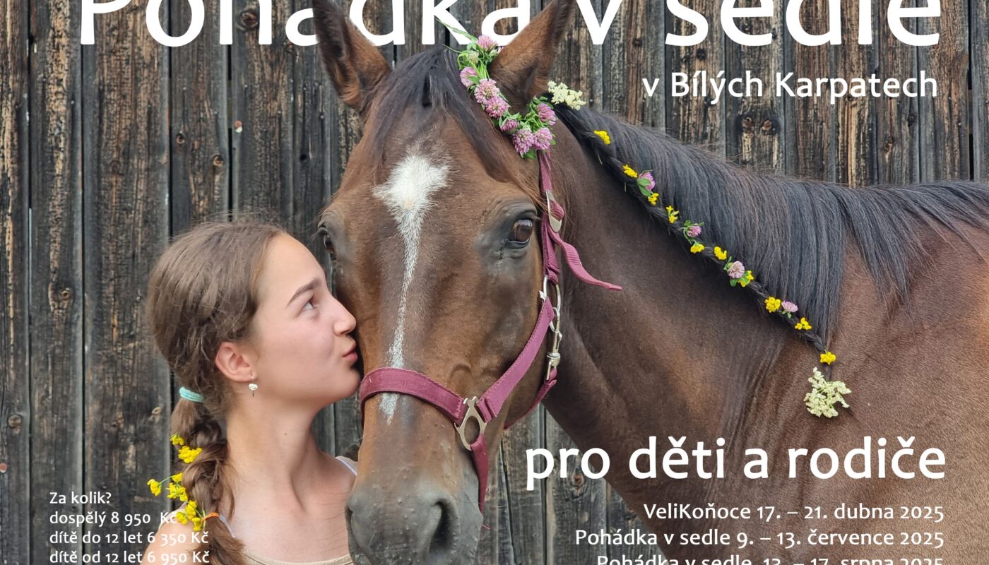 Jezdecké potřeby, potřeby pro koně a jezdectví Piruch.cz