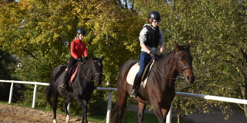 ježdění jízdárna