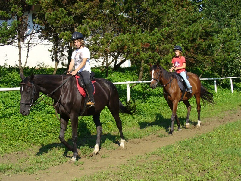 Jezdecké potřeby, potřeby pro koně a jezdectví Piruch.cz