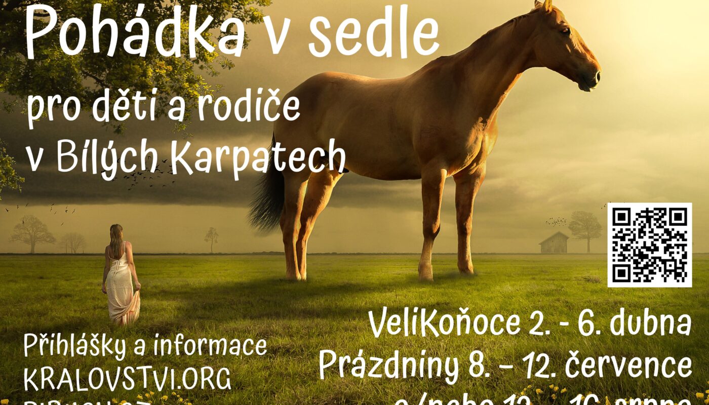 Jezdecké potřeby, potřeby pro koně a jezdectví Piruch.cz