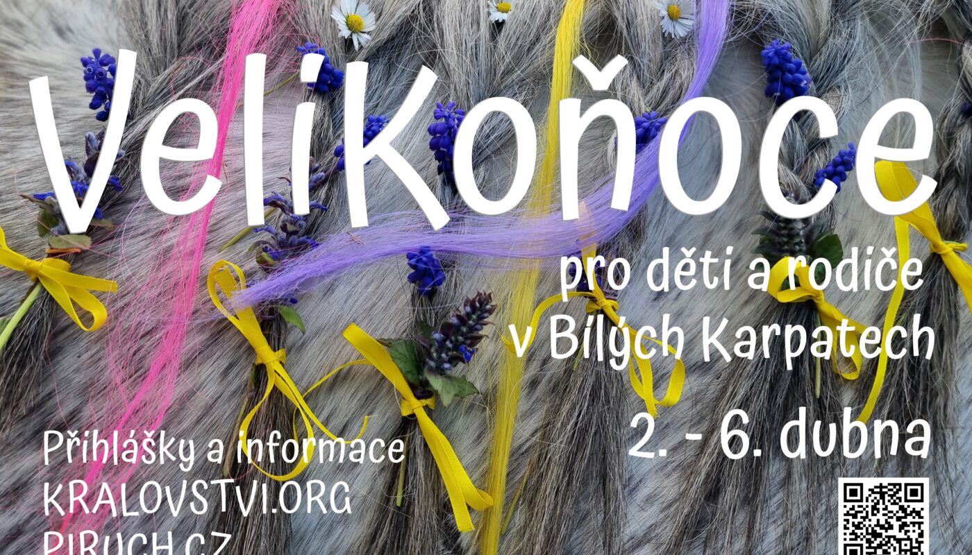 Jezdecké potřeby, potřeby pro koně a jezdectví Piruch.cz