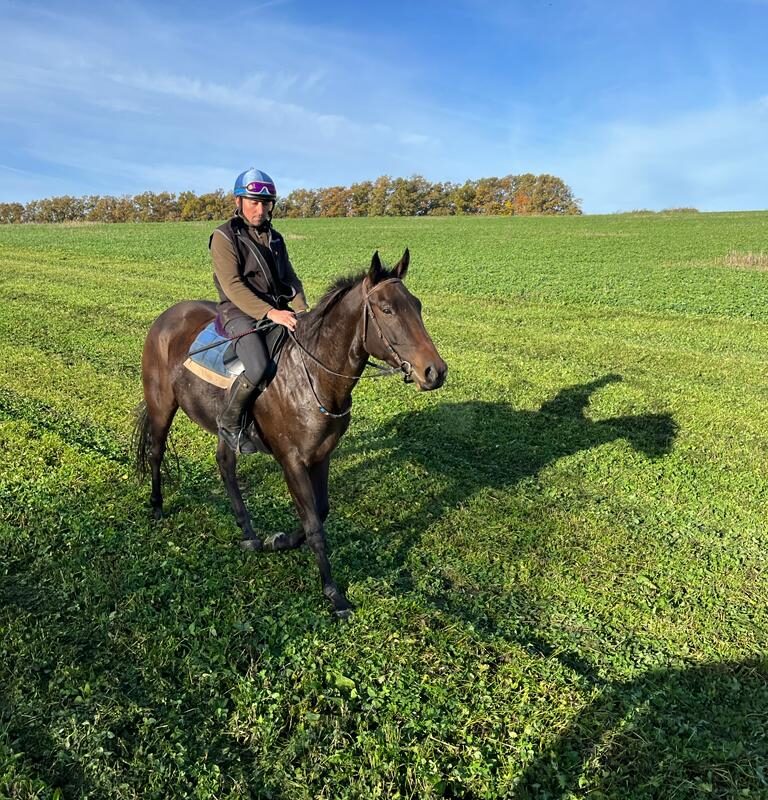 Jezdecké potřeby, potřeby pro koně a jezdectví Piruch.cz
