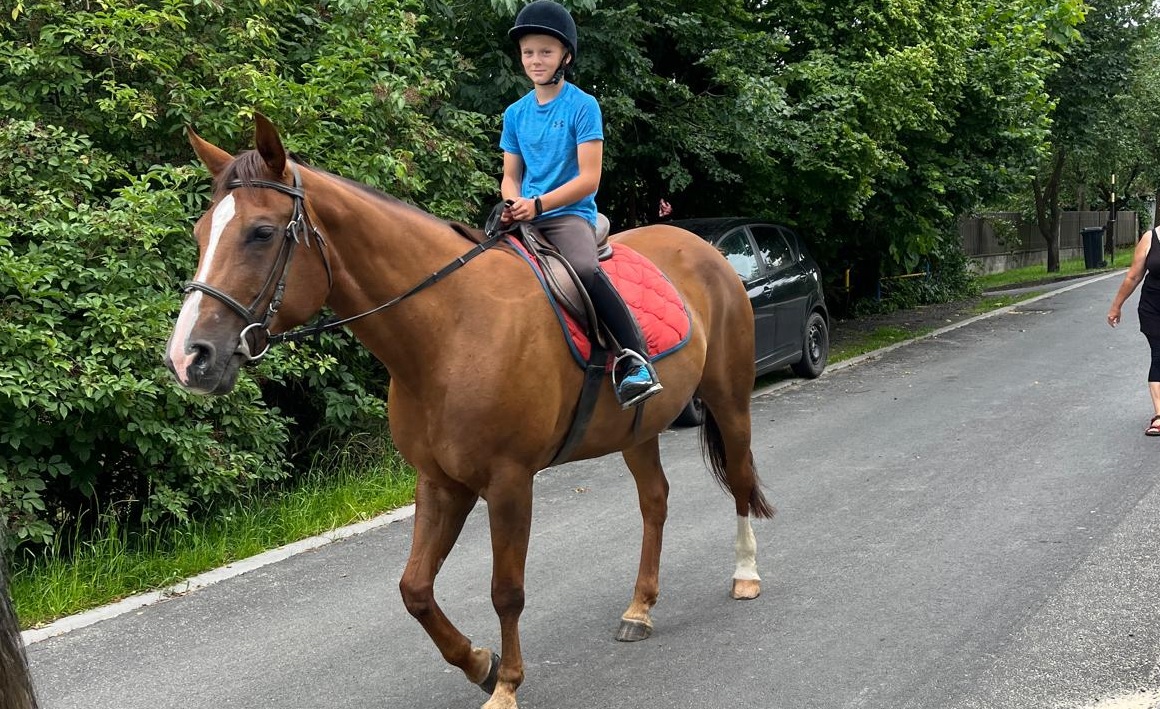 Jezdecké potřeby, potřeby pro koně a jezdectví Piruch.cz