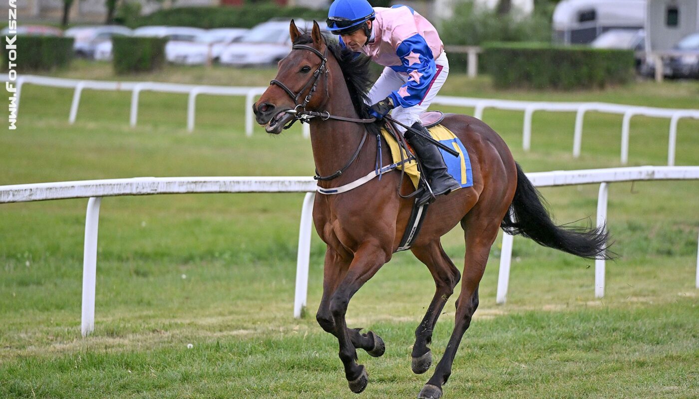 Jezdecké potřeby, potřeby pro koně a jezdectví Piruch.cz