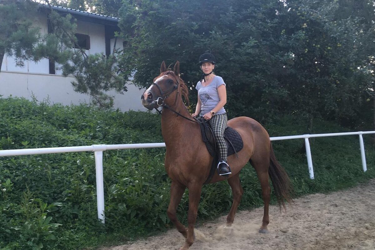 Jezdecké potřeby, potřeby pro koně a jezdectví Piruch.cz