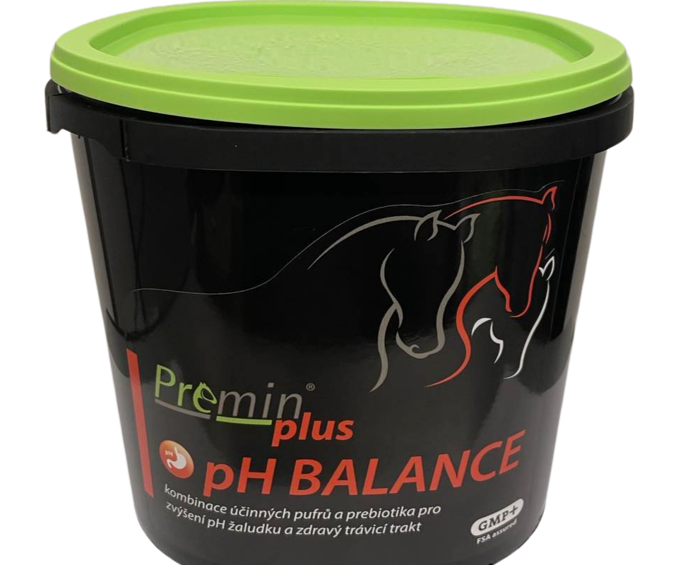 Jezdecké potřeby, potřeby pro koně a jezdectví Piruch.cz