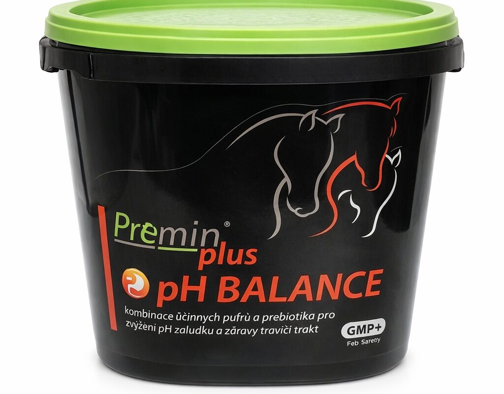 Jezdecké potřeby, potřeby pro koně a jezdectví Piruch.cz