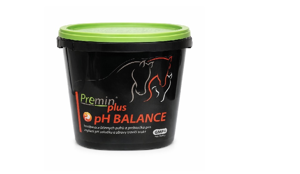 Jezdecké potřeby, potřeby pro koně a jezdectví Piruch.cz