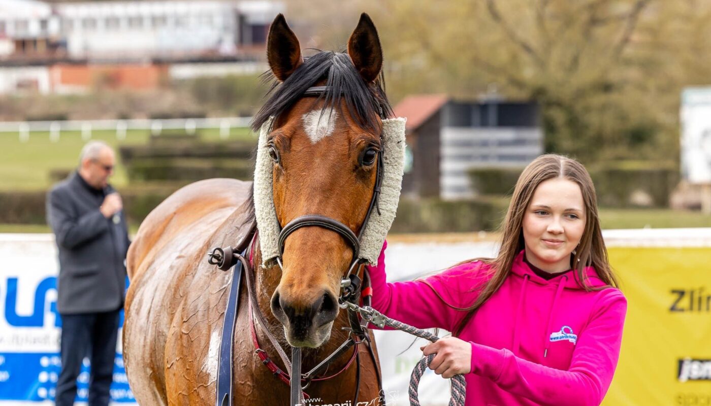 Jezdecké potřeby, potřeby pro koně a jezdectví Piruch.cz